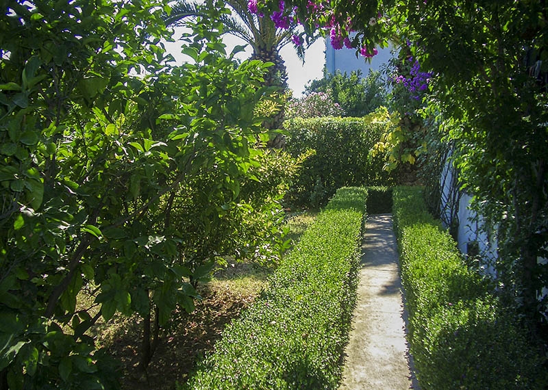 Garden & Parking
